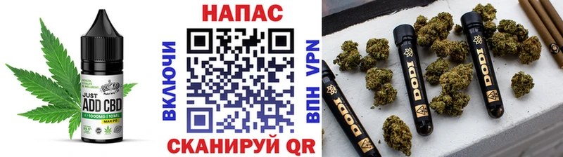 Canna-Cookies марихуана гидра зеркало Татарск