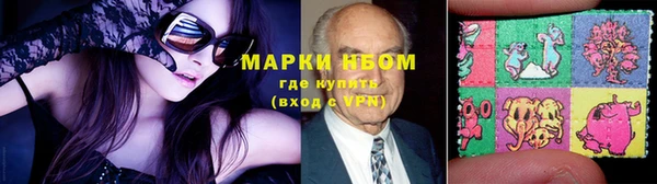 шишки Арсеньев