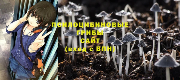 не бодяженный Аркадак