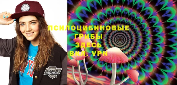 шишки Арсеньев