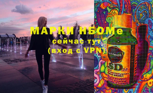 шишки Арсеньев