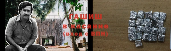 шишки Арсеньев